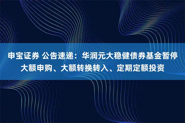 申宝证券 公告速递：华润元大稳健债券基金暂停大额申购、大额转换转入、定期定额投资