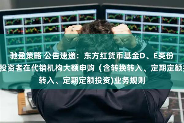 驰盈策略 公告速递：东方红货币基金D、E类份额调整非个人投资者在代销机构大额申购（含转换转入、定期定额投资)业务规则