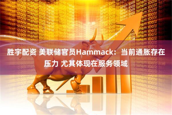 胜宇配资 美联储官员Hammack：当前通胀存在压力 尤其体现在服务领域