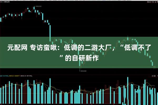 元配网 专访蛮啾：低调的二游大厂，“低调不了”的自研新作