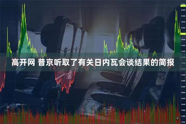 高开网 普京听取了有关日内瓦会谈结果的简报