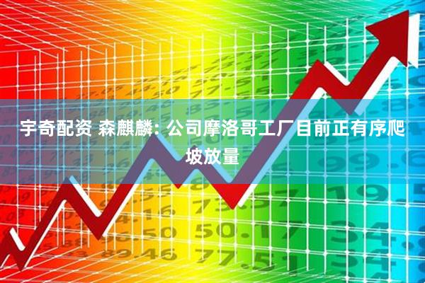 宇奇配资 森麒麟: 公司摩洛哥工厂目前正有序爬坡放量