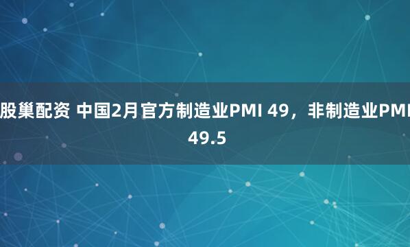 股巢配资 中国2月官方制造业PMI 49，非制造业PMI 49.5
