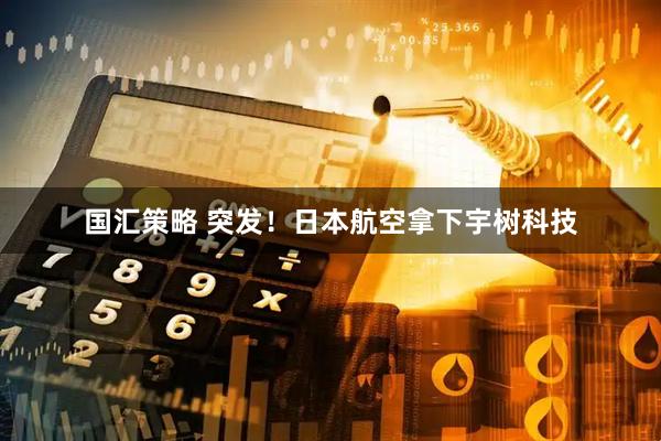 国汇策略 突发！日本航空拿下宇树科技